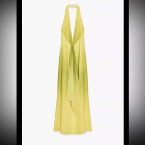 Zara Printed Knot Long Dress